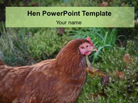 Hen PowerPoint Template