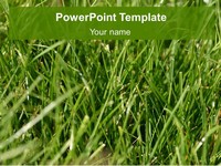 Turf PowerPoint Template