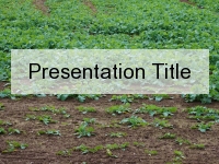 Soil Health PowerPoint Template thumbnail