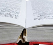 photo of an open book