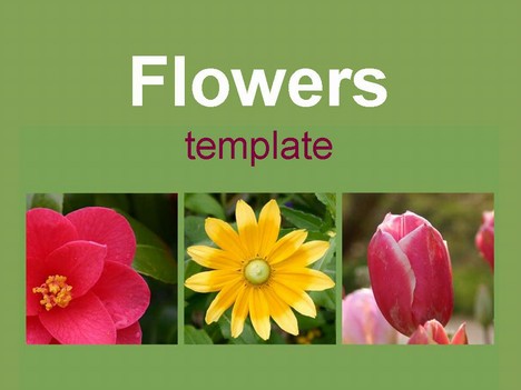 Three Flowers Template