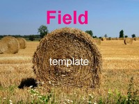 Field and hay bales