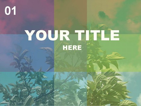 Leaves Colour Template