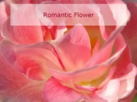 Romantic Flowers PowerPoint Template thumbnail