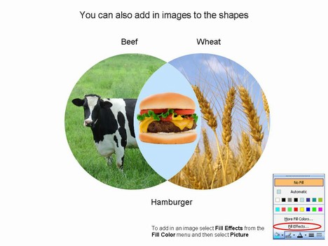 Venn Diagram Template inside page