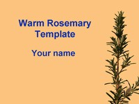 Rosemary Template thumbnail