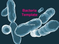 Bacteria PowerPoint Template thumbnail