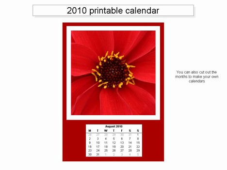 Free Printable 2010 Calendar inside page