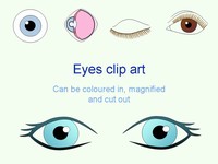 Eye Outlines Template thumbnail