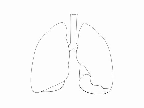 Body Parts Template inside page