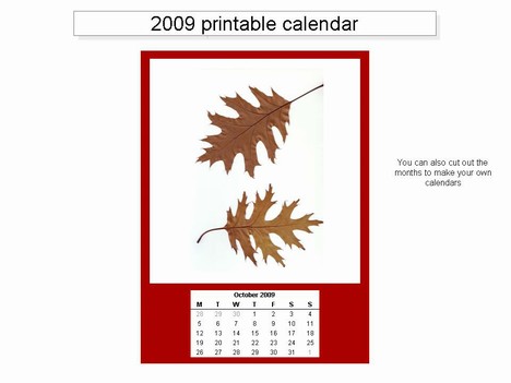 Free 2009 printable calendar template inside page