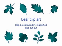Free Leaf Clip Art thumbnail