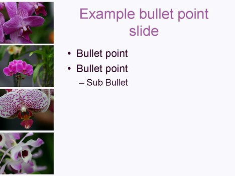 Orchid PowerPoint Template inside page