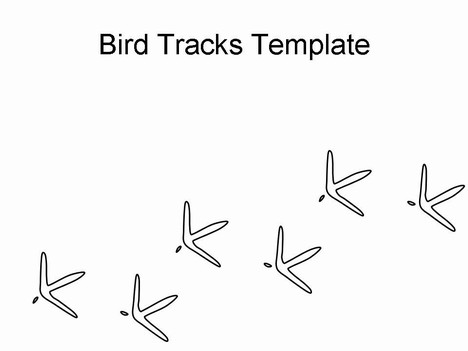 Bird Tracks Template