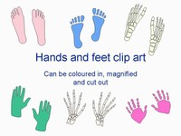 Hands and Feet Template thumbnail