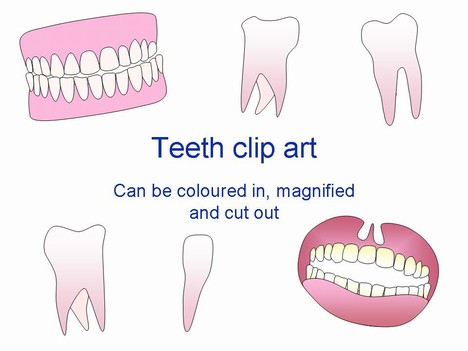 Teeth Clip Art