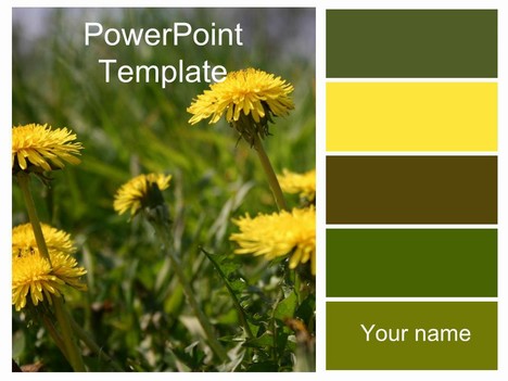 Wild Dandelion Template