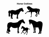 Horse Outlines Template thumbnail