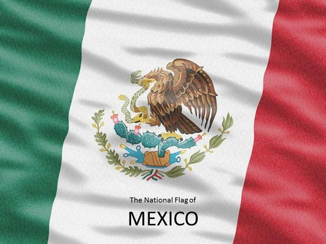 Flag of Mexico Template