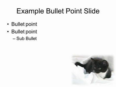 Kitten PowerPoint Template inside page