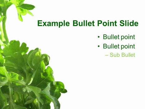 Parsley PowerPoint Template inside page