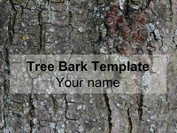 Tree Bark PowerPoint Template