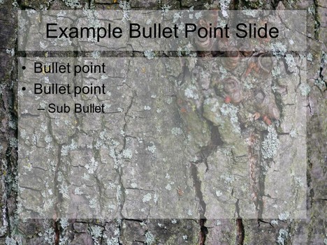 Tree Bark PowerPoint Template inside page