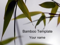 Bamboo PowerPoint Template thumbnail