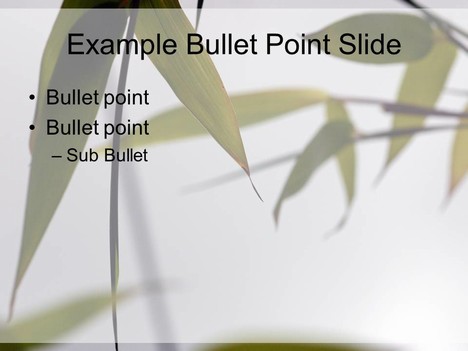 Bamboo PowerPoint Template inside page