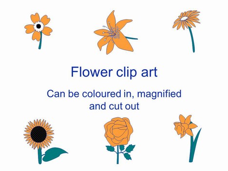Flower Outlines Clip Art