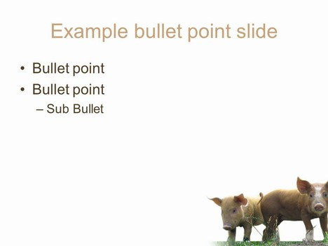 Piglet PowerPoint Template inside page