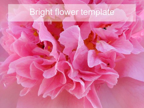 밝은 꽃 파워 포인트 템플릿