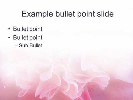 Bright Flower PowerPoint Template inside page