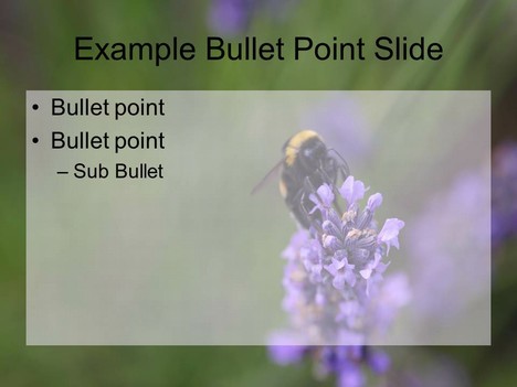 Bumblebee PowerPoint Template inside page
