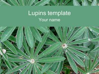 Lupins PowerPoint Template thumbnail