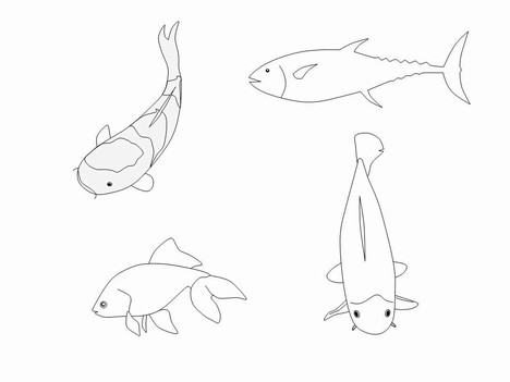 Fish Outline Clip Art inside page