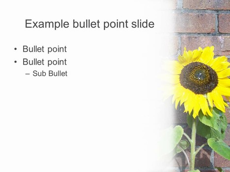 Sunflower PowerPoint Template 2 inside page