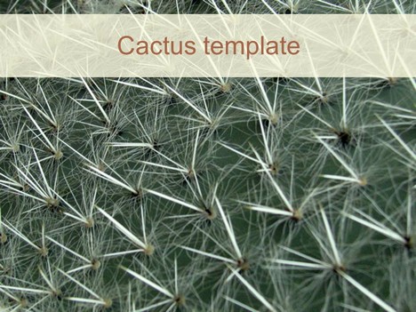 Cactus PowerPoint Template