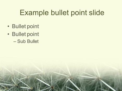 Cactus PowerPoint Template inside page