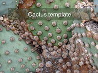 Cactus PowerPoint Template 2 thumbnail