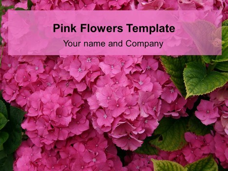 Pink Flower Template
