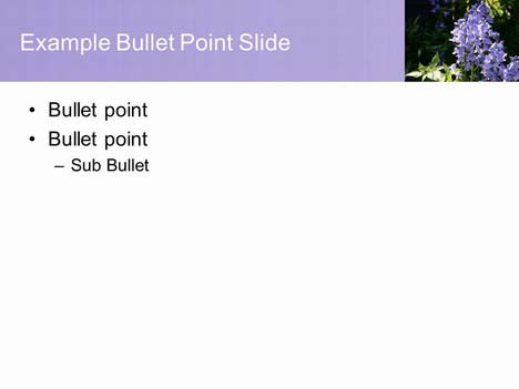 Free Pretty Bluebell PowerPoint Template inside page