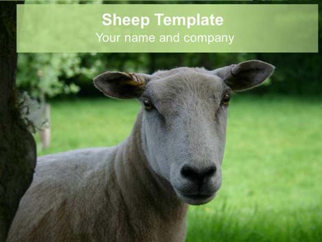 Laboratory Test Animals Powerpoint Template Slidemodel