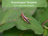 Grasshopper PowerPoint Template thumbnail