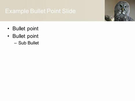 Free Owl PowerPoint Template inside page