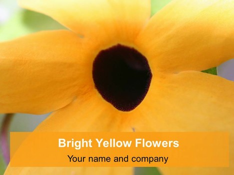 Bright Yellow Flowers Background Template
