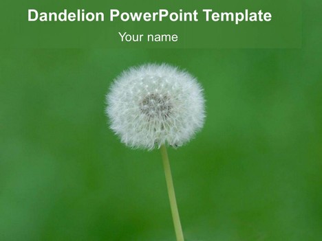 Free Dandelion PowerPoint Template