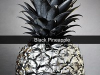 Black Pineapple Template thumbnail