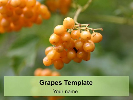 Grapes PowerPoint Template