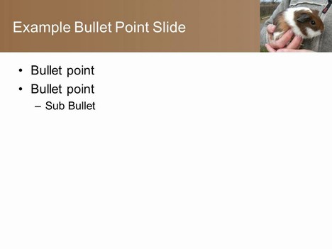 Guinea Pig PowerPoint Template inside page